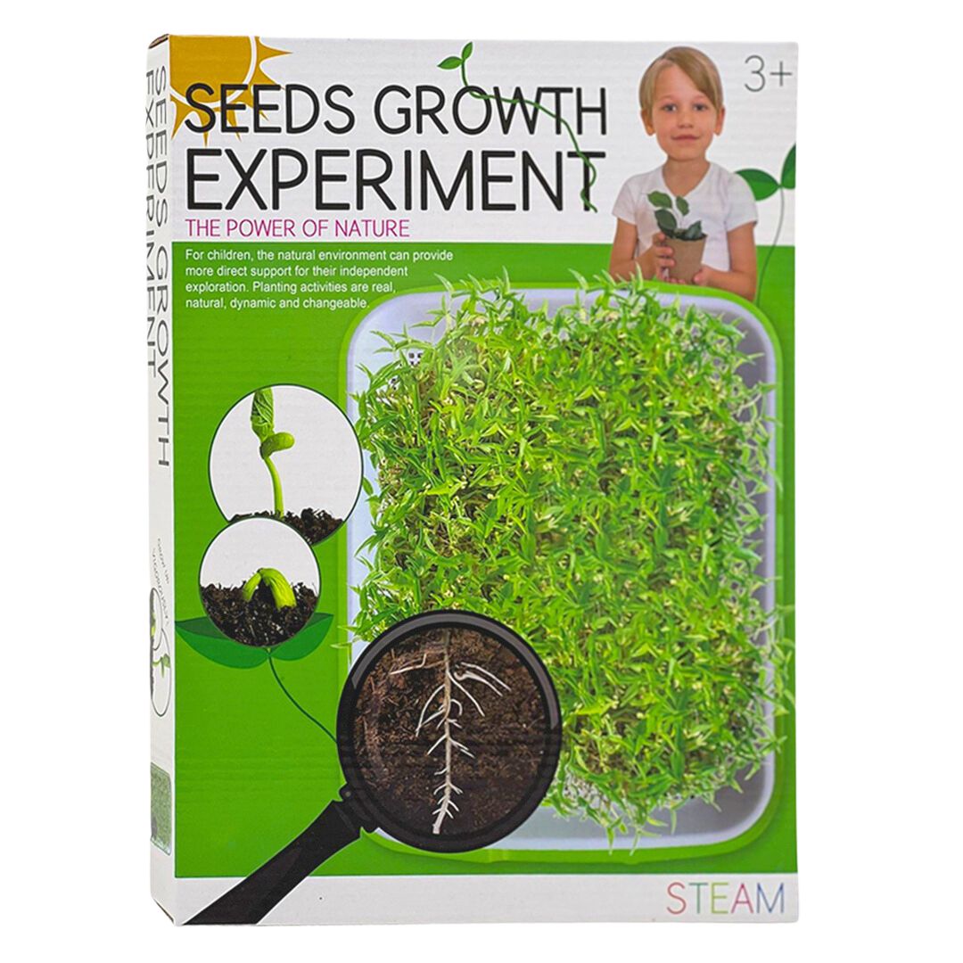 Plant Seeds Growth Science Experiment