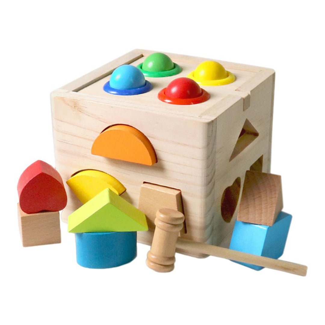 Shape Matching Box of Intelligence – Fun & Educational Toy for Kids - Fun Learning Store