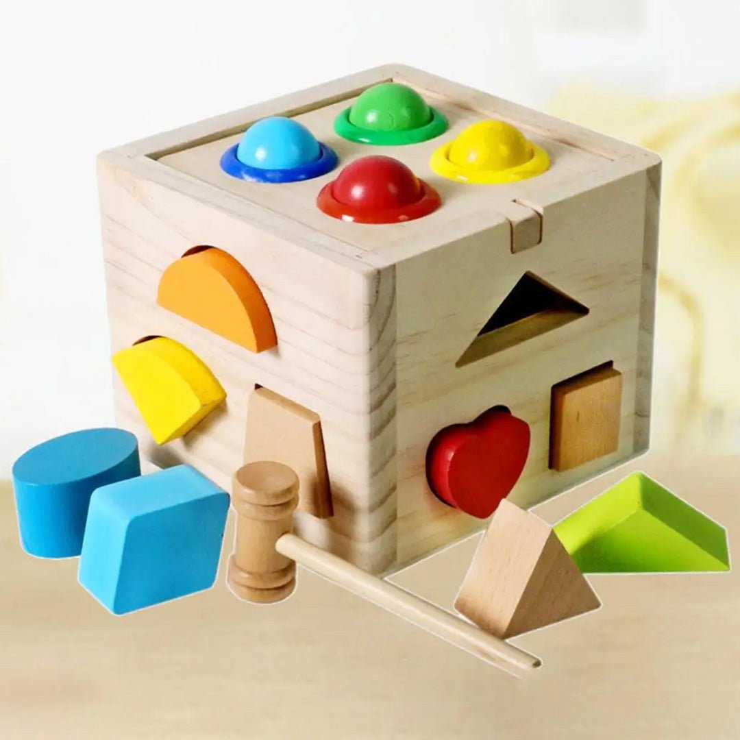 Shape Matching Box of Intelligence – Fun & Educational Toy for Kids - Fun Learning Store