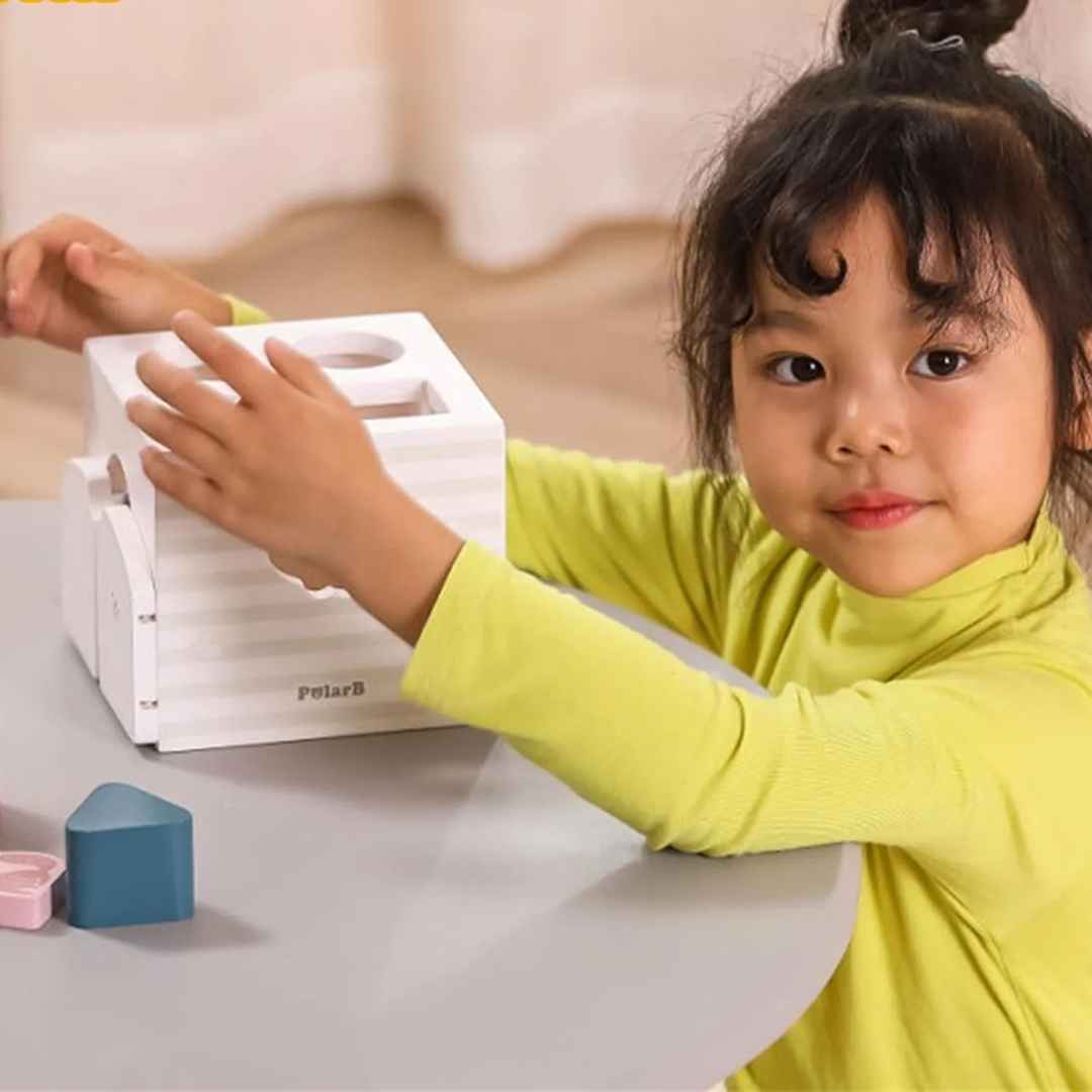 Shape Sorter with Music Blocks: A Symphony of Learning - Fun Learning Store