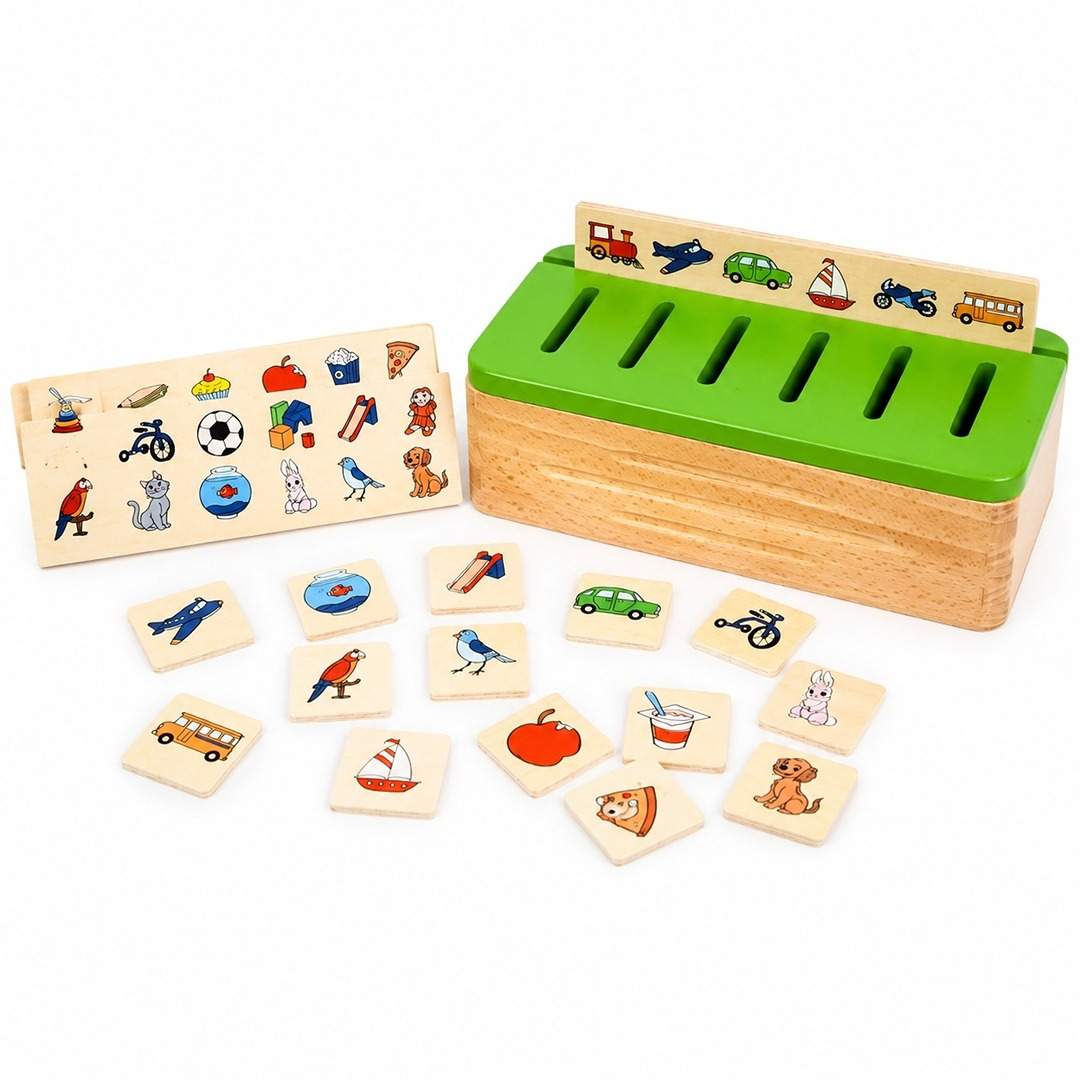 Small Sorting Box: A World of Organization and Discovery! - Fun Learning Store