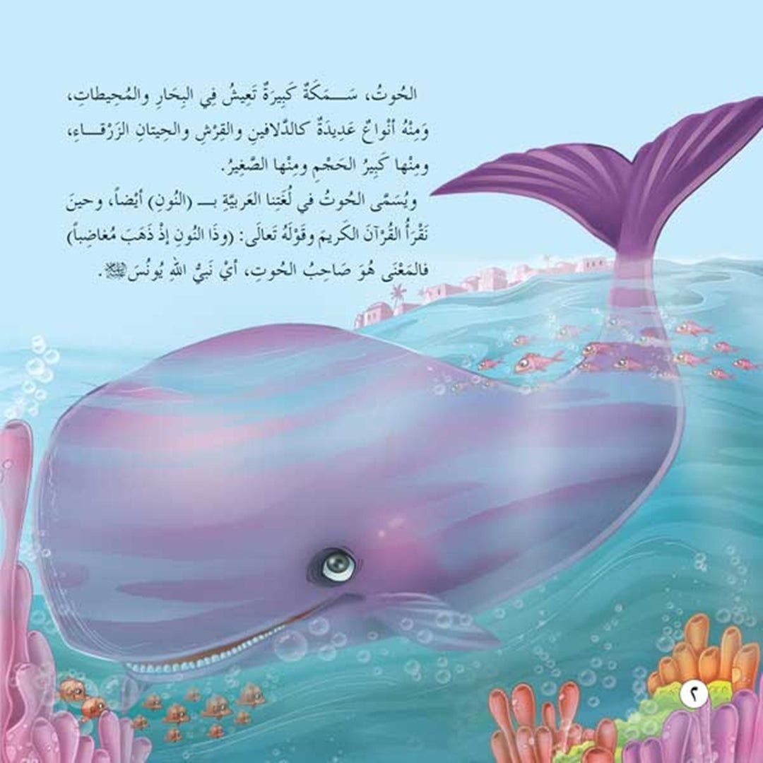 The Animals in the Quran – A 10 - Story Educational Series |+6 Years - Fun Learning Store