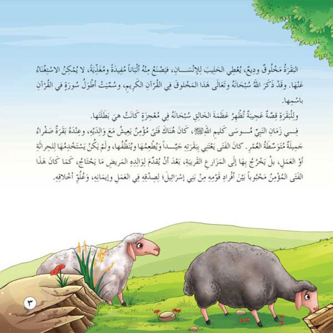 The Animals in the Quran Series – 10 Inspiring Stories for Kids |+6 Years - Fun Learning Store