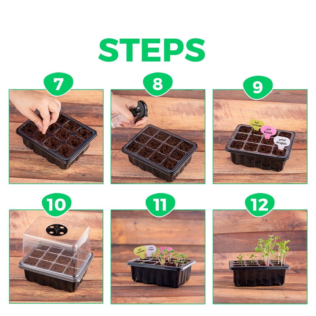 The Farming Kit - Fun & Educational Plant Growing Kit - Fun Learning Store