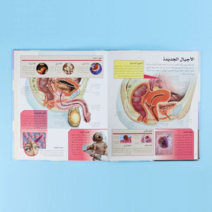 The Human Body 3D by DK – Discover the Wonders Inside You! - Fun Learning Store