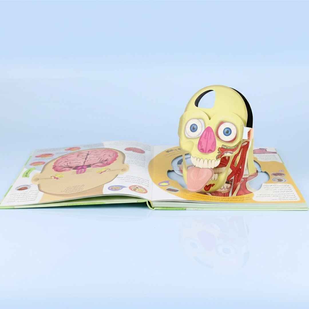 The Human Body Inside Out DK - Fun Learning Store