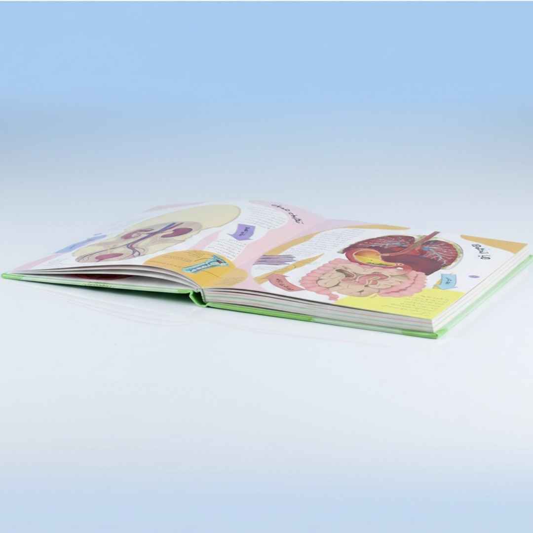 The Human Body Inside Out DK - Fun Learning Store