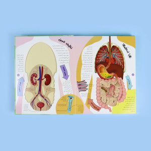 The Human Body Inside Out DK - Fun Learning Store