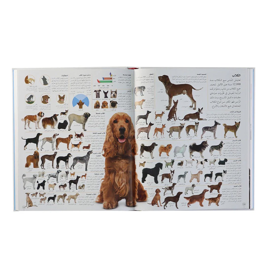 The Illustrated Encyclopedia: A Fun Learning Journey for Kids and Adults - Fun Learning Store