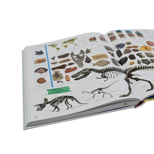 The Illustrated Encyclopedia: A Fun Learning Journey for Kids and Adults - Fun Learning Store