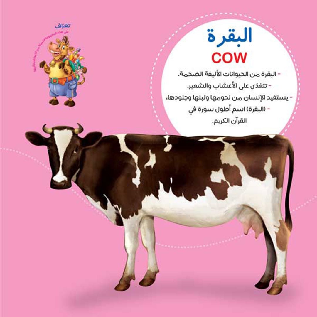 The Illustrated Scientific Encyclopedia Series – 8 - Part Bilingual Learning Set | +3 Years - Fun Learning Store