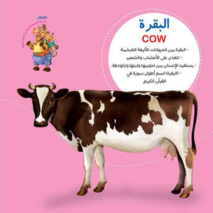 The Illustrated Scientific Encyclopedia Series – 8 - Part Bilingual Learning Set | +3 Years - Fun Learning Store