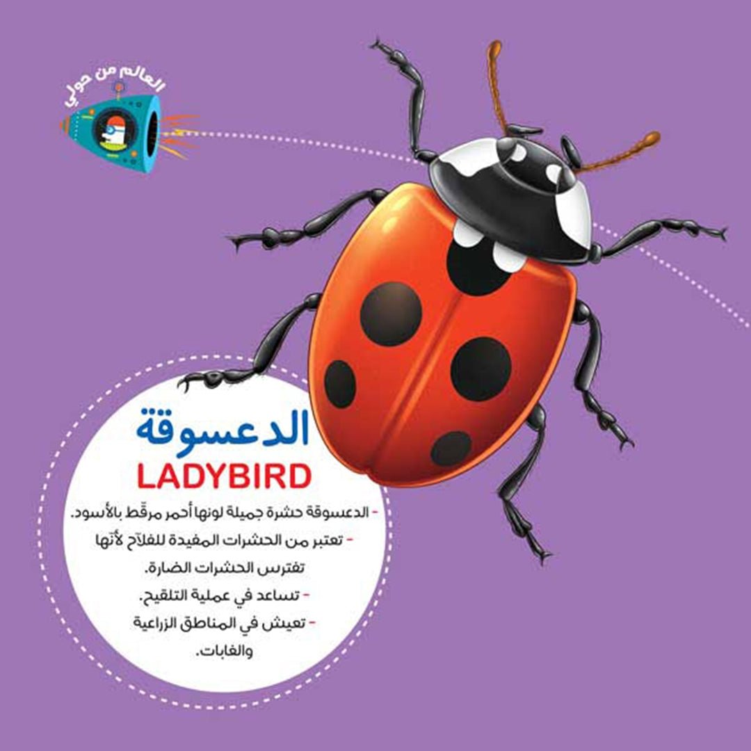 The Illustrated Scientific Encyclopedia Series – 8 - Part Bilingual Learning Set | +3 Years - Fun Learning Store