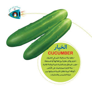 The Illustrated Scientific Encyclopedia Series – 8 - Part Bilingual Learning Set | +3 Years - Fun Learning Store