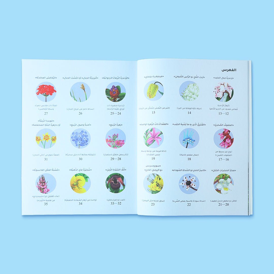 The Plant World Series: Nature Discovery Book for Kids - Fun Learning Store