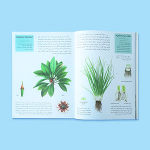 The Plant World Series: Nature Discovery Book for Kids - Fun Learning Store