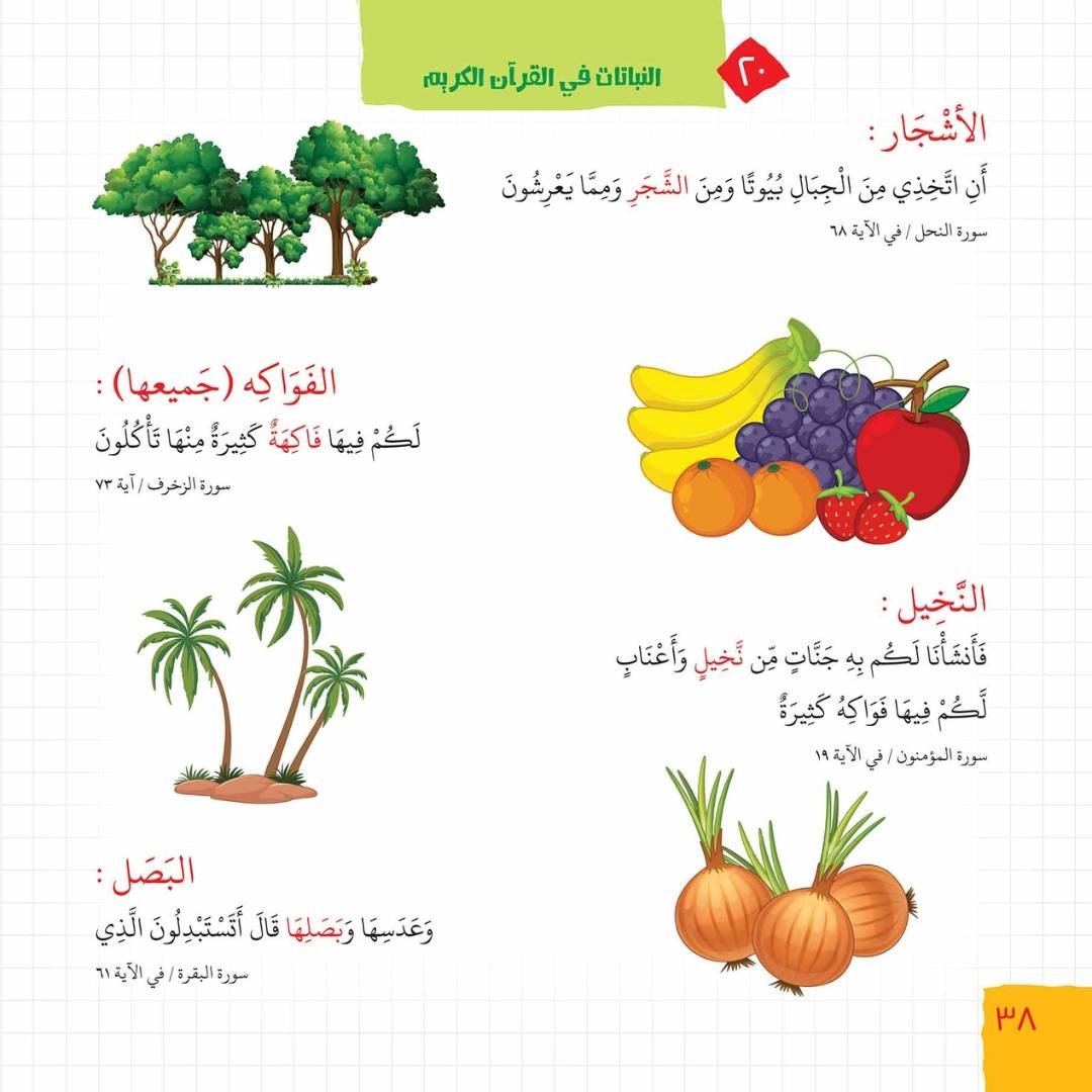 The Quranic Child’s Dictionary: 200+ Words to Connect Your Child with the Holy Book! - Fun Learning Store