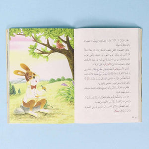 The Rabbit Writer Series – In Search of a Singer - Fun Learning Store