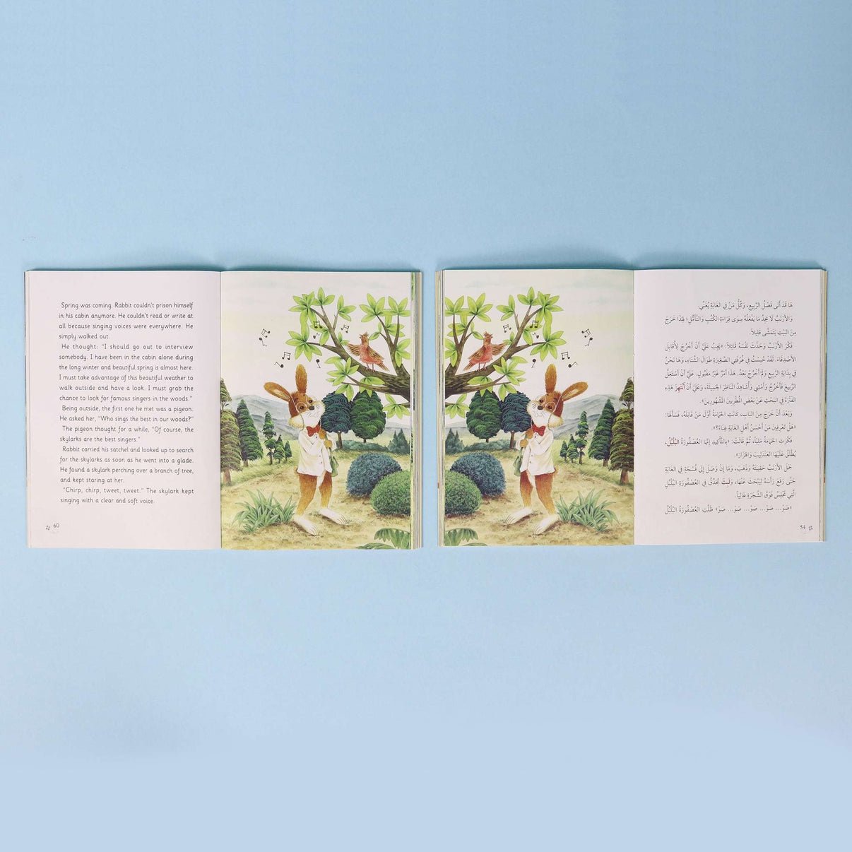 The Rabbit Writer Series – In Search of a Singer - Fun Learning Store