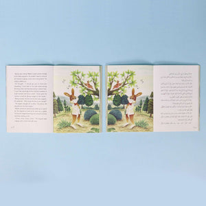 The Rabbit Writer Series – In Search of a Singer - Fun Learning Store