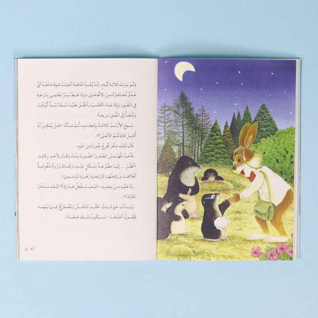 The Rabbit Writer Series – The Mole Tunnel - Fun Learning Store