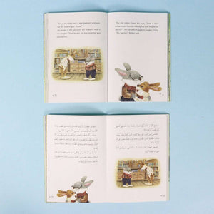 The Rabbit Writer Series – The Queen Cat’s Memories - Fun Learning Store