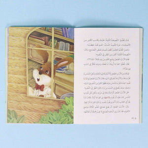 The Rabbit Writer Series – The Queen Cat’s Memories - Fun Learning Store