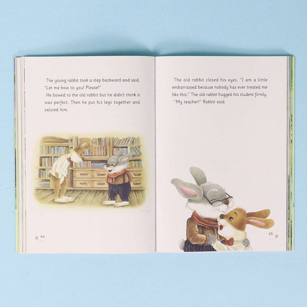 The Rabbit Writer Series – The Queen Cat’s Memories - Fun Learning Store