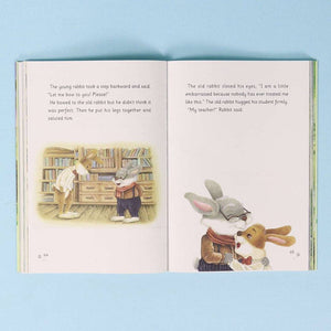 The Rabbit Writer Series – The Queen Cat’s Memories - Fun Learning Store