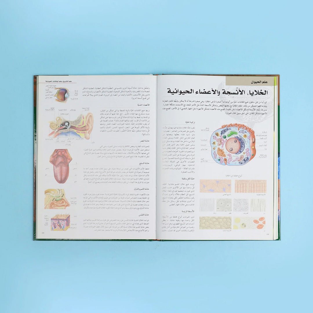 The Ultimate Natural Science Encyclopedia – 4 Volumes by DK - Fun Learning Store