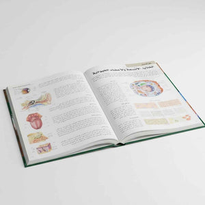 The Ultimate Natural Science Encyclopedia – 4 Volumes by DK - Fun Learning Store