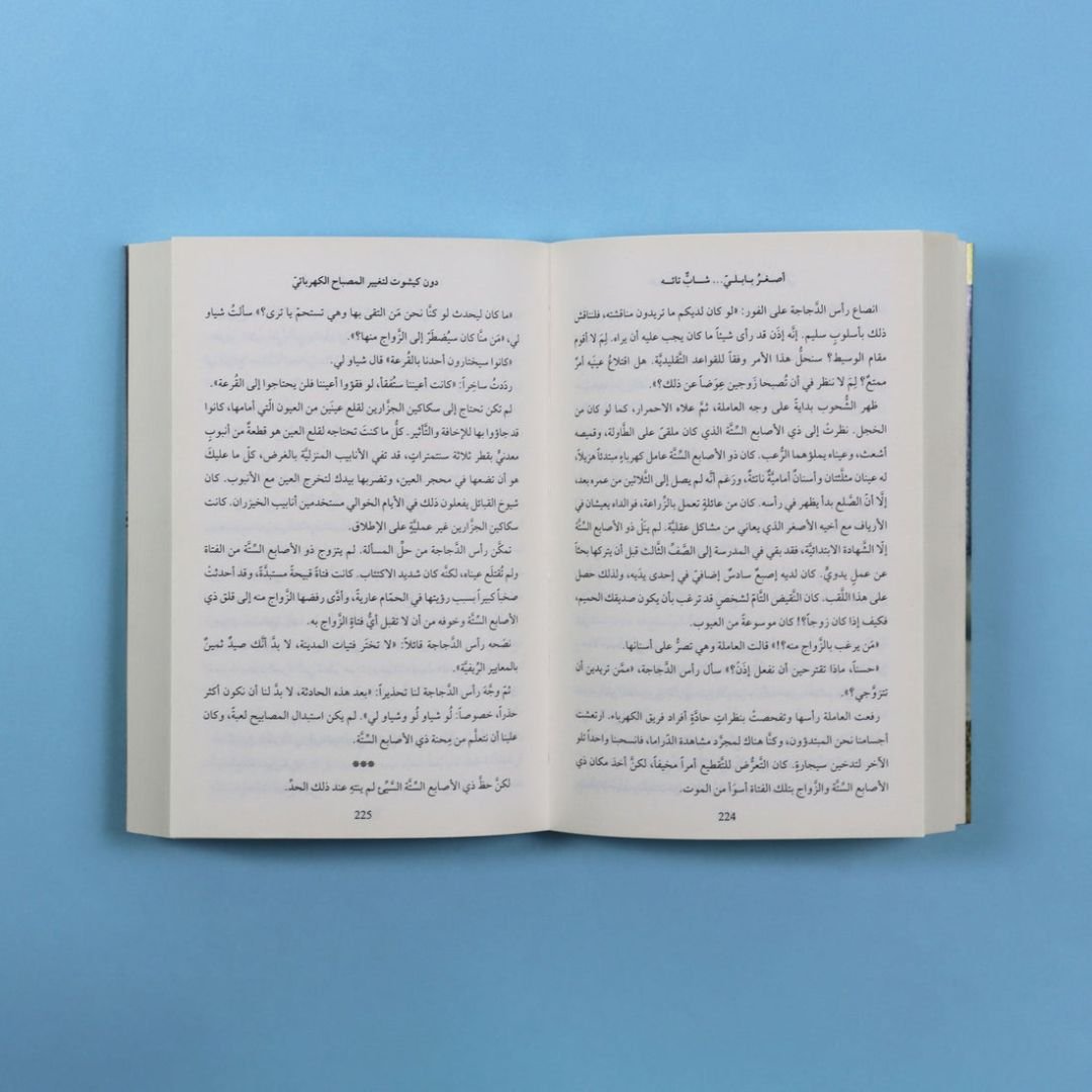 The Youngest Lost Babylonian: An Educational Children's Story - Fun Learning Store