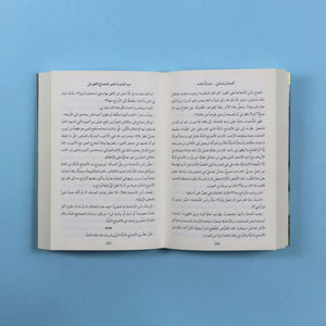 The Youngest Lost Babylonian: An Educational Children's Story - Fun Learning Store