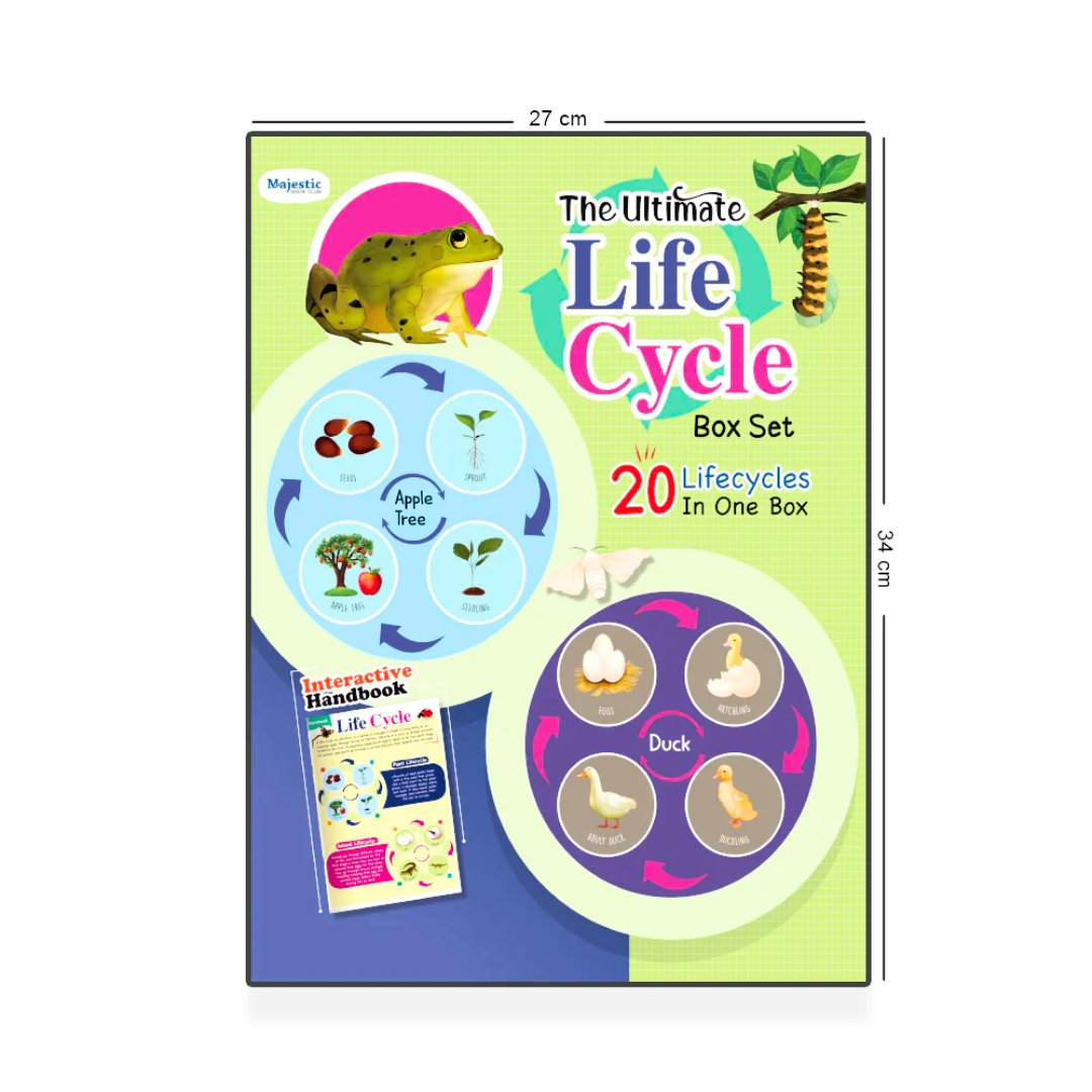 Ultimate Life Cycle Toys for Kids, Learning & Educational Toys, Montessori Toys for Toddler Preschool Science Learning Activities Toys for Age 3 4 5 6 7 8+ - Fun Learning Store