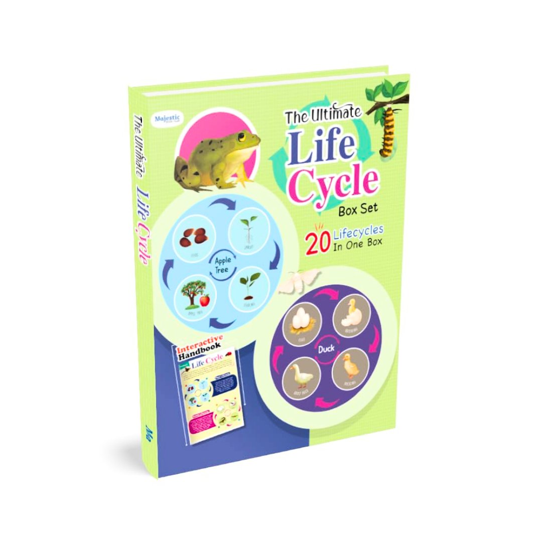 Ultimate Life Cycle Toys for Kids, Learning & Educational Toys, Montessori Toys for Toddler Preschool Science Learning Activities Toys for Age 3 4 5 6 7 8+ - Fun Learning Store