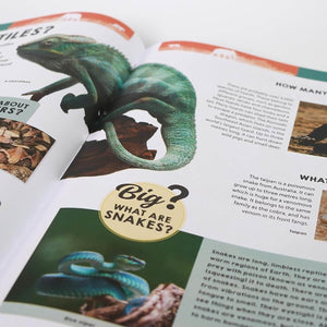 Ultimate Questions & Answers: Animals & Nature - The Wild Fact Book Every Curious Kid Needs! - Fun Learning Store