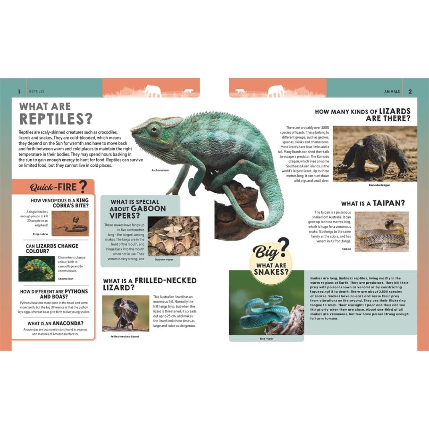 Ultimate Questions & Answers: Animals & Nature - The Wild Fact Book Every Curious Kid Needs! - Fun Learning Store