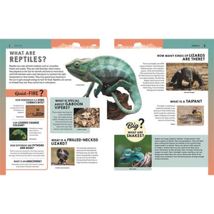 Ultimate Questions & Answers: Animals & Nature - The Wild Fact Book Every Curious Kid Needs! - Fun Learning Store