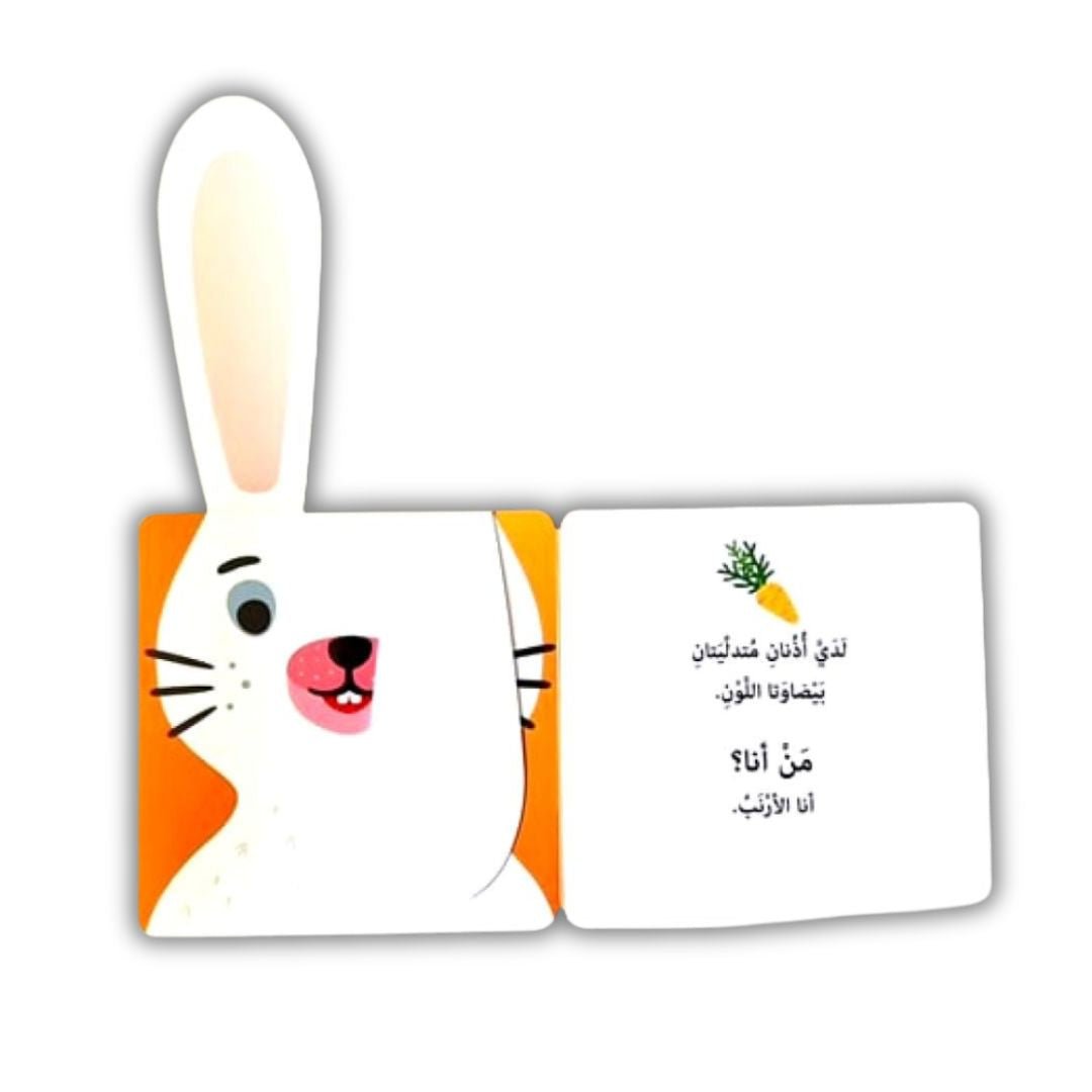 Who Am I? A Fun Lift - the - Flap Discovery Book for Kids - Fun Learning Store