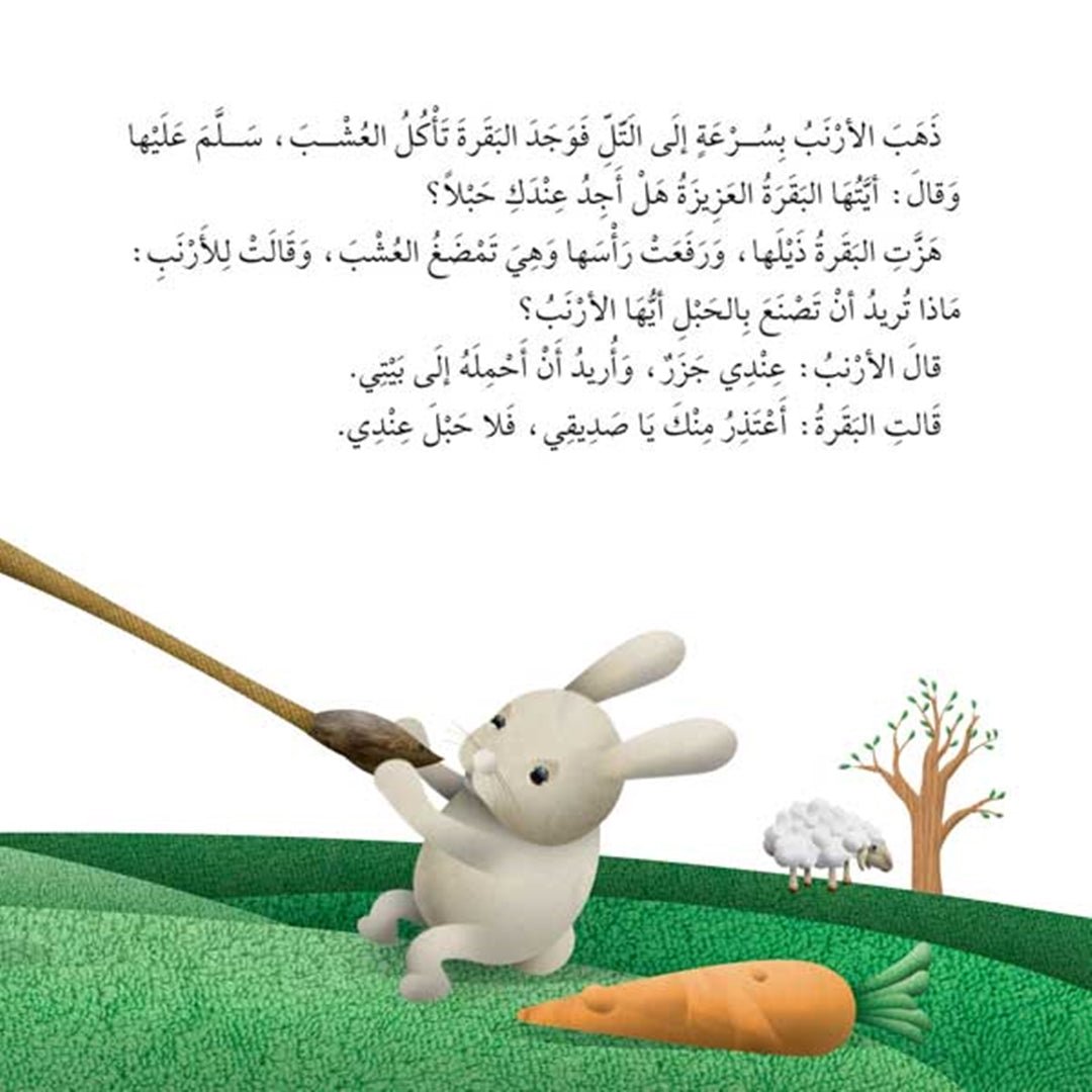 Why Did God Create This? – Engaging Educational Series for Kids |+3 Years - Fun Learning Store