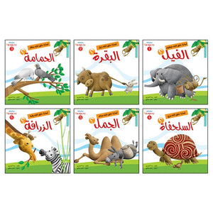 Why Did God Create This? Series – 6 Engaging Educational Books for Curious Kids - Fun Learning Store