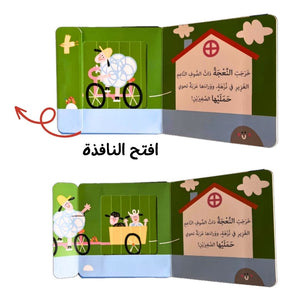 Windows And Surprises - The Young Animals - Fun Learning Store