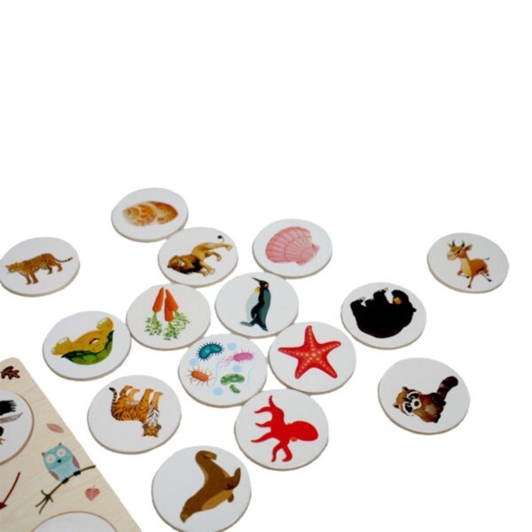 Wooden Food Chain Puzzle – Educational Animal Food Chain Learning Toy for Kids +4 Years - Fun Learning Store