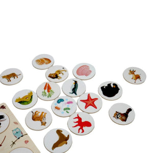 Wooden Food Chain Puzzle – Educational Animal Food Chain Learning Toy for Kids +4 Years - Fun Learning Store