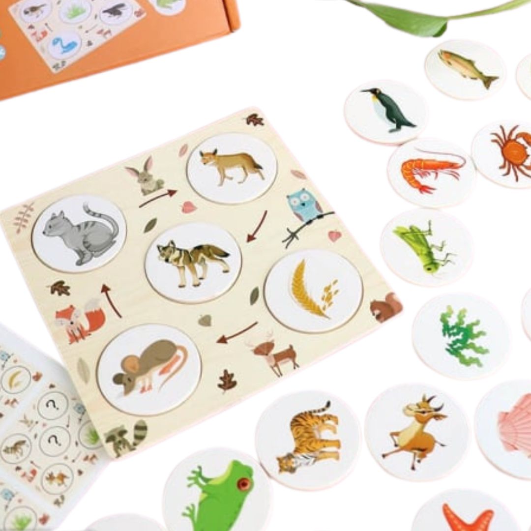 Wooden Food Chain Puzzle – Educational Animal Food Chain Learning Toy for Kids +4 Years - Fun Learning Store