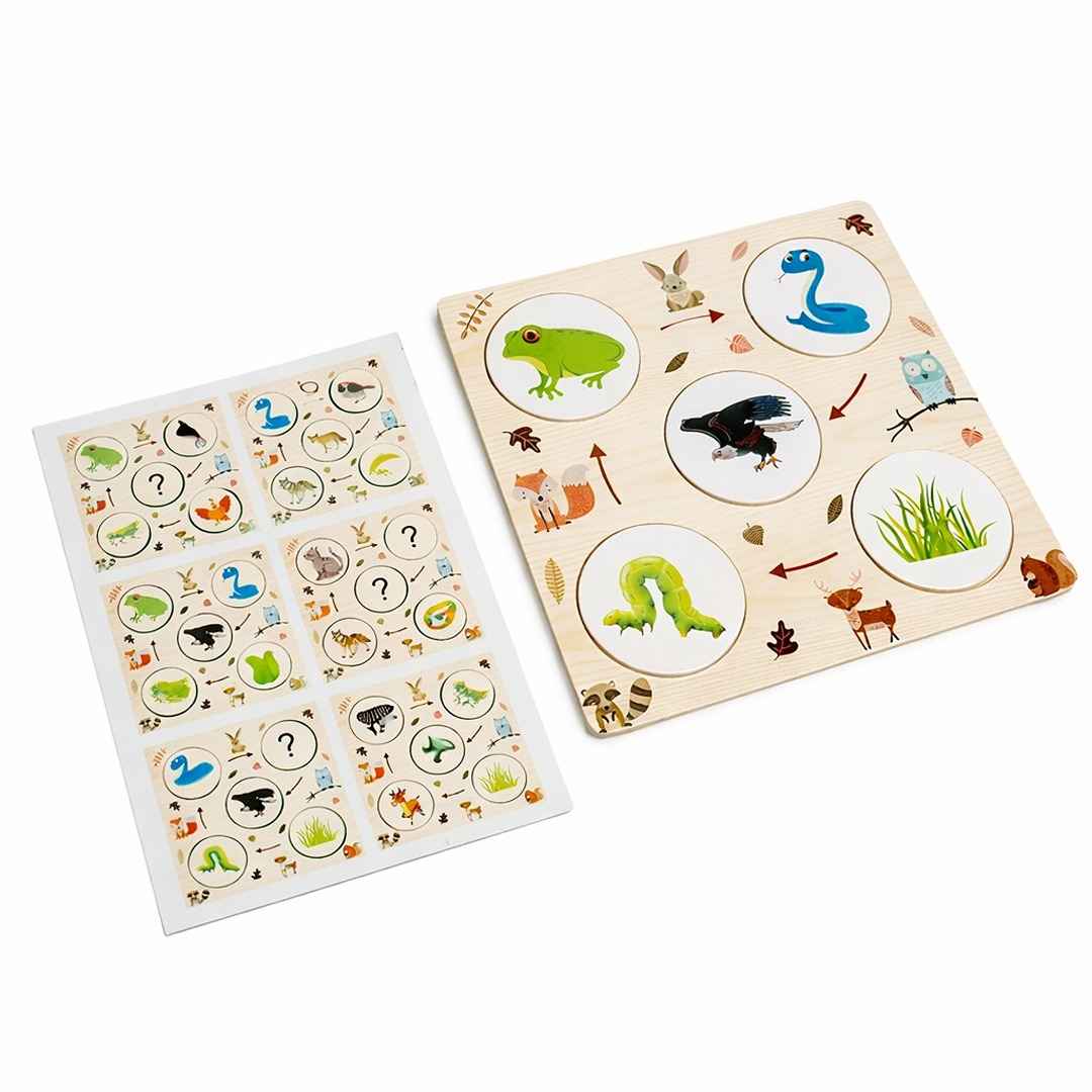 Wooden Food Chain Puzzle – Educational Animal Food Chain Learning Toy for Kids +4 Years - Fun Learning Store