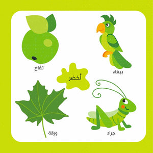 Words & Colors for Kids – Interactive Puzzle Book for Fun Learning and Skill Development - Fun Learning Store