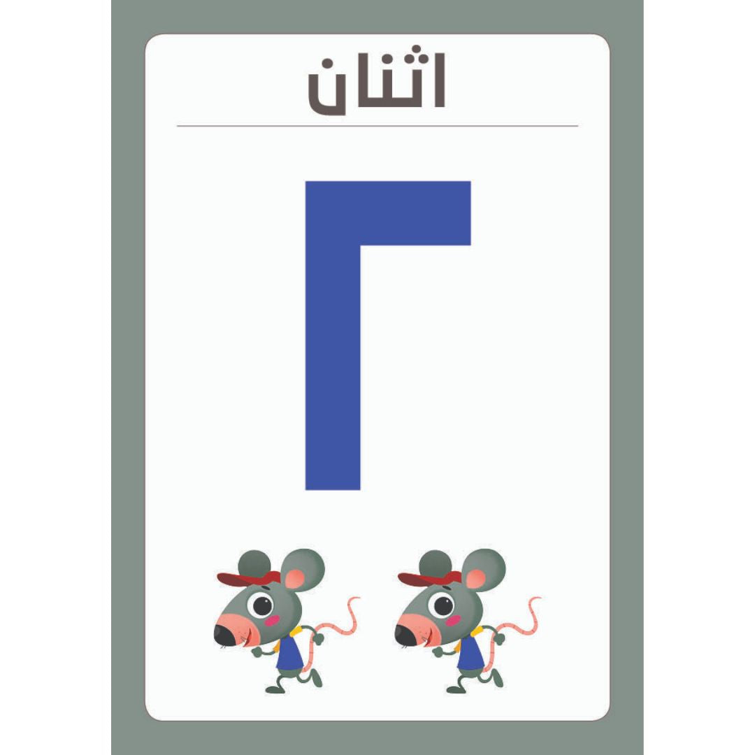Arabic and English Numbers Exercises - Educational Book for Kids