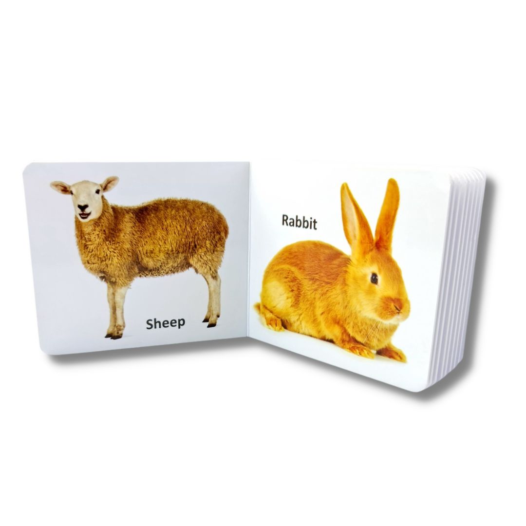 Animal and Pets Kids Board Book