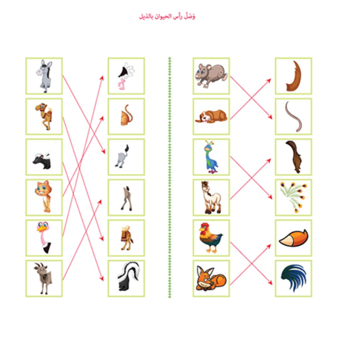 arabic alphabet learning toys
